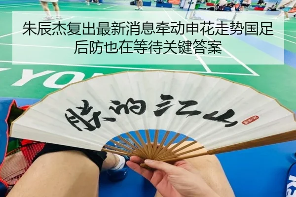 朱辰杰复出最新消息牵动申花走势国足后防也在等待关键答案